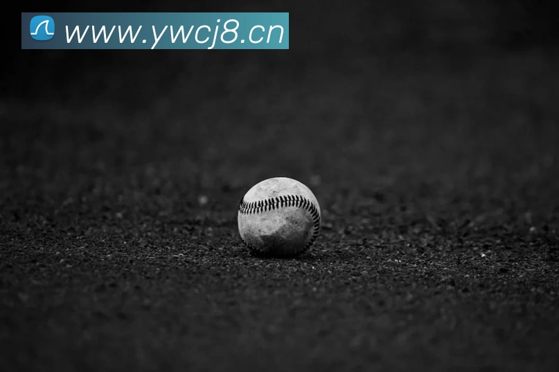 九游网页版入口官网下载平台生态图